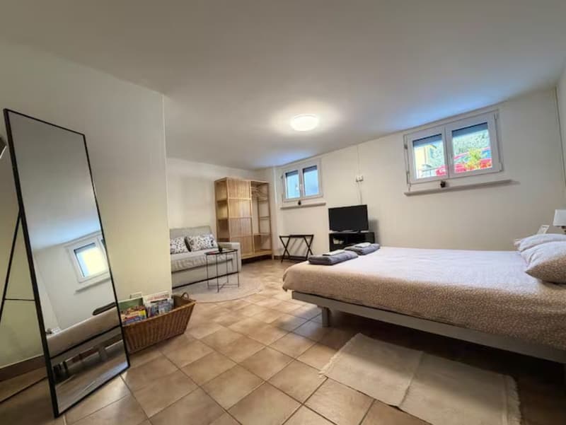 Bilocale ristrutturato con terrazza e ingresso indipendente a Losone, ideale per soggiorni corto-medio termine a Losone (16)
