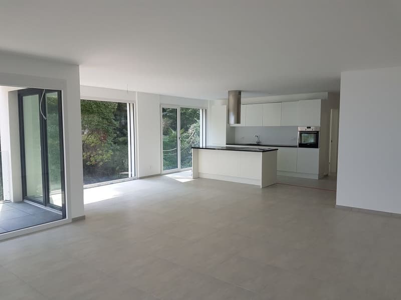 3 ½-Zimmer-Wohnung mit Terrasse und  PanoramaSicht auf den Lago Maggiore (7)