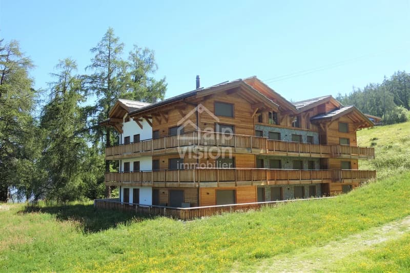 APPARTEMENT 3.5 PIÈCES DE PRESTIGE SKI IN / SKI OUT (11)
