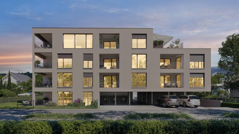 3.5 room apartment in Erlen (6)
