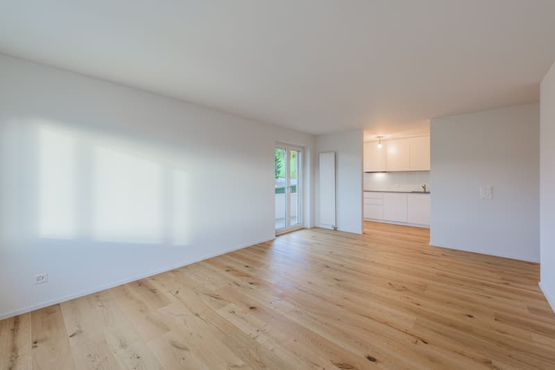 Appartement lumineux, charmant 3 pièces - entièrement rénové (7)