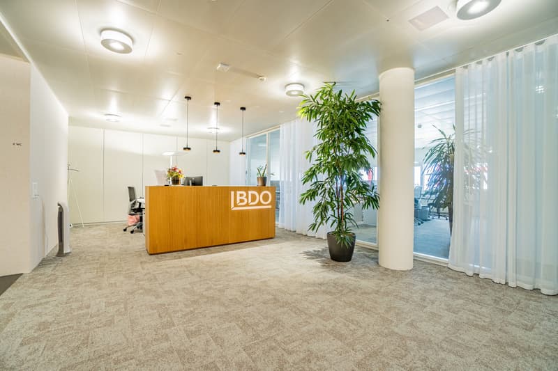 59 m² Büro im White Plaza, 3. OG, nahe SBB - Basel mieten (6)