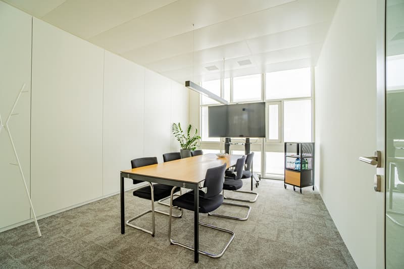 59 m² Büro im White Plaza, 3. OG, nahe SBB - Basel mieten (8)