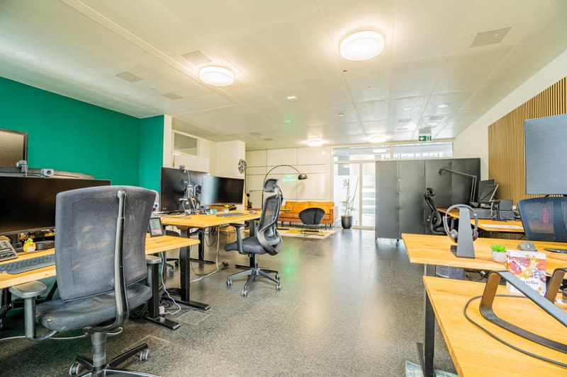 59 m² Büro im White Plaza, 3. OG, nahe SBB - Basel mieten (4)