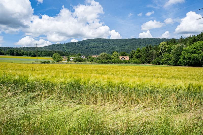 4.5-Zimmerwohnung mit Balkon in ruhiger Lage (2)