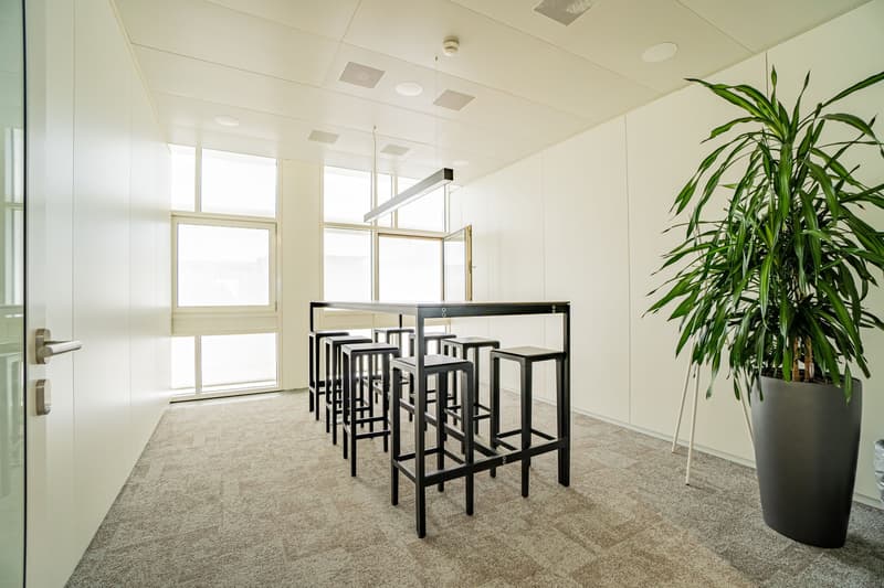 Helles Büro im White Plaza mit Aussenflächen in Basel mieten (7)