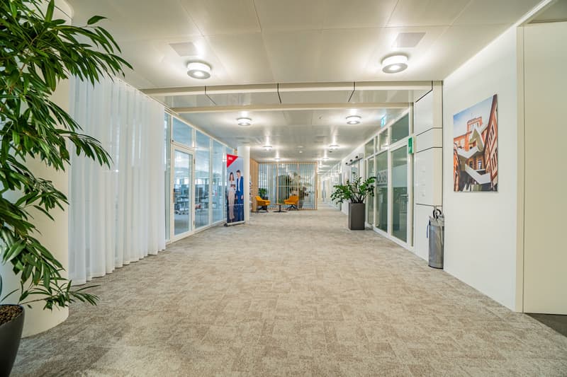 Helles Büro im White Plaza mit Aussenflächen in Basel mieten (5)