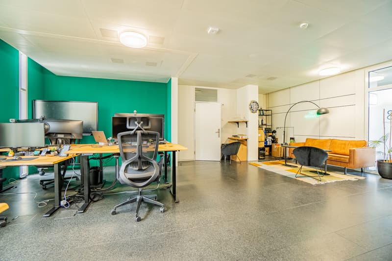 59 m² Büro im White Plaza, 3. OG, nahe SBB - Basel mieten (3)