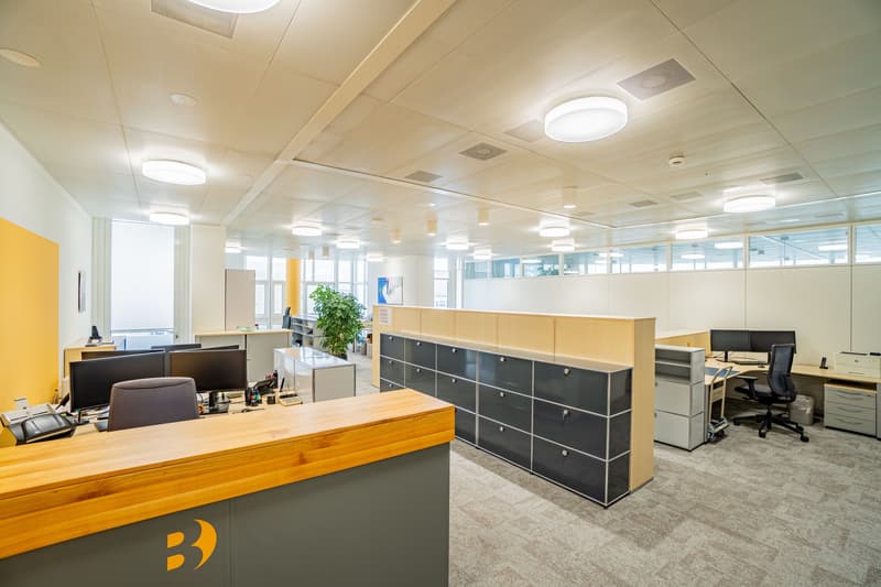 Helles Büro im White Plaza mit Aussenflächen in Basel mieten (2)