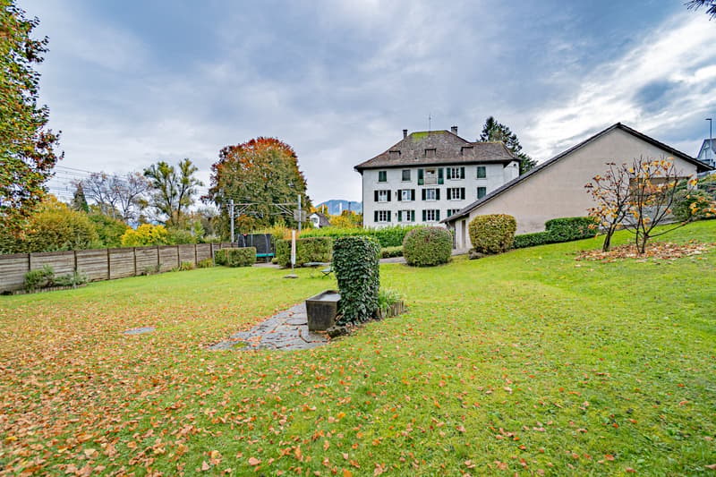 Historisches MFH mit 3 Einheiten und privatem Seepark mit EFH in Richterswil (7)