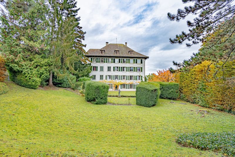 Historisches MFH mit 3 Einheiten und privatem Seepark mit EFH in Richterswil (5)
