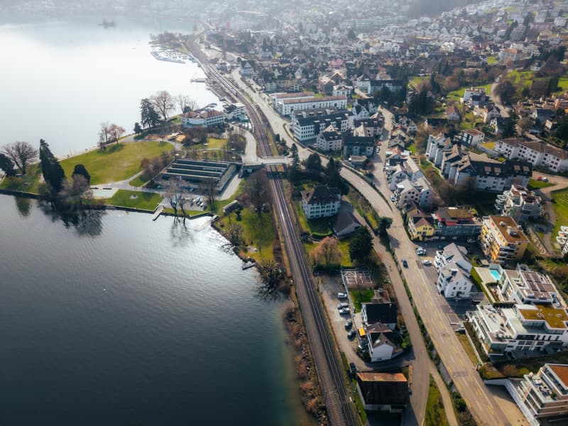 Historisches MFH mit 3 Einheiten und privatem Seepark mit EFH in Richterswil (2)