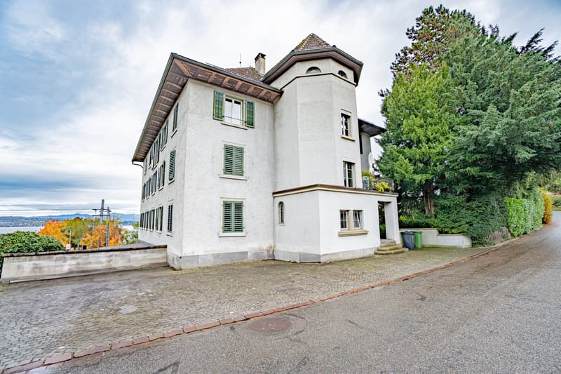 Historisches MFH mit 3 Einheiten und privatem Seepark mit EFH in Richterswil (9)
