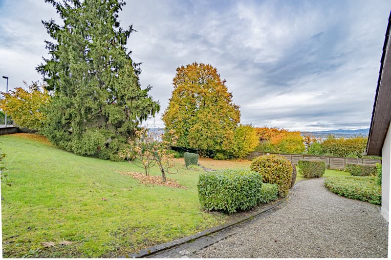 Historisches MFH mit 3 Einheiten und privatem Seepark mit EFH in Richterswil (8)