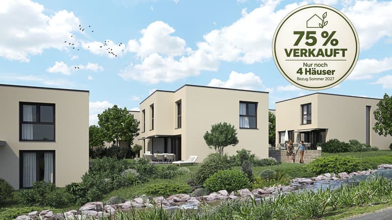 Ihr modernes Einfamilienhaus im Grünen - Sonnenpark Erlinsbach AG (1)