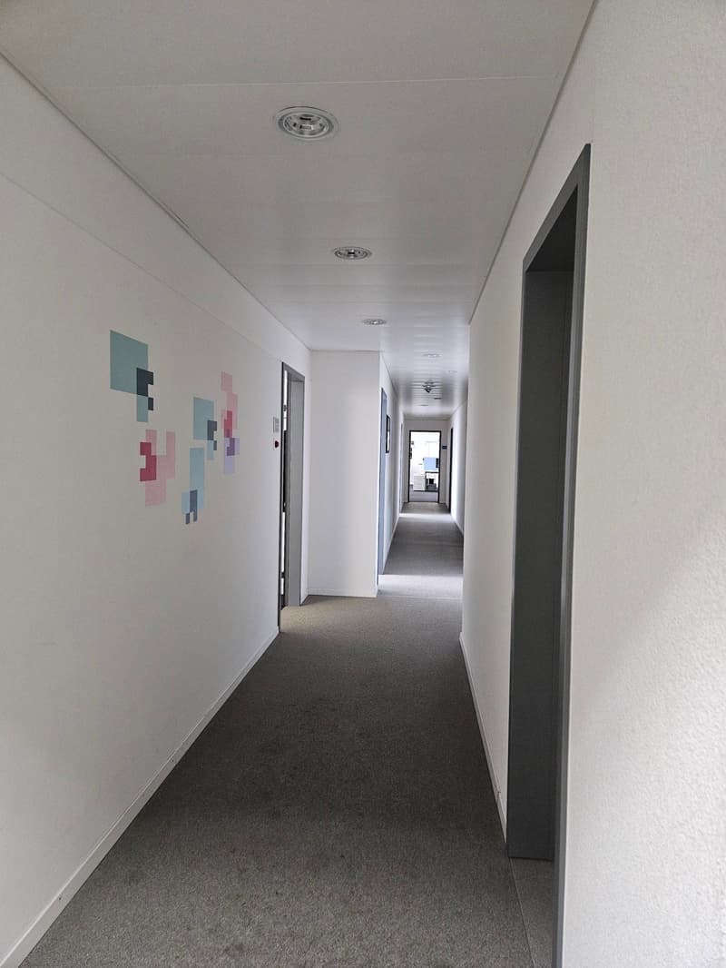 Empty hallway with white walls, gray carpet, and square wall art.
