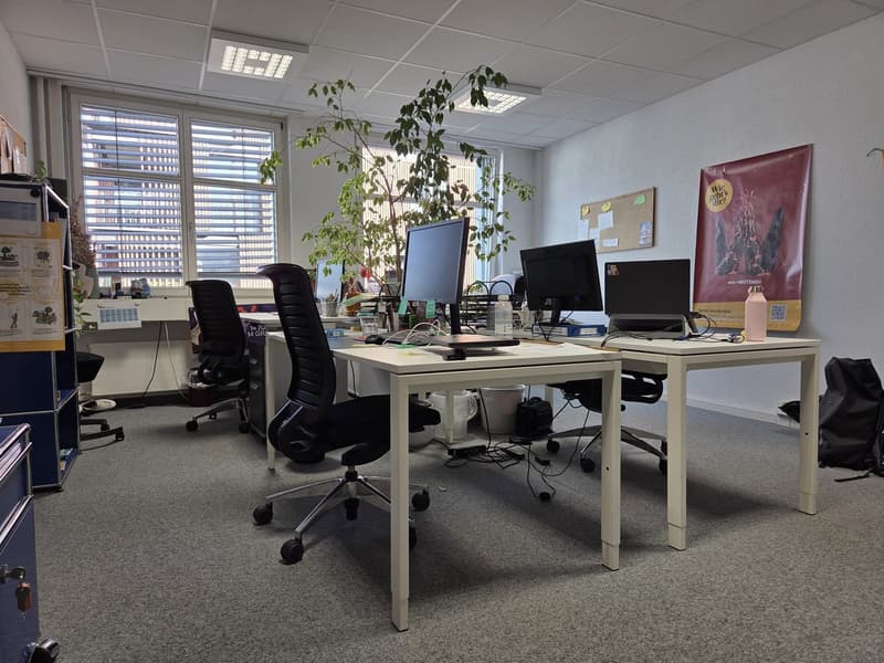 Attraktive Büro-/Praxisfläche an zentraler Lage in Thun (6)