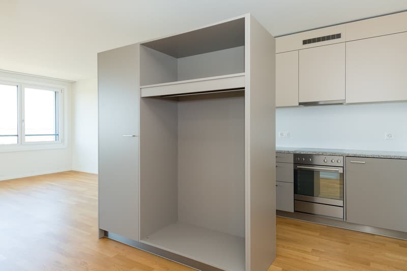 Grosszügige 2.5 Zimmerwohnung mit urbanem Flair (3)