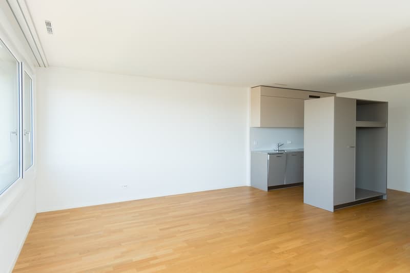 Grosszügige 2.5 Zimmerwohnung mit urbanem Flair (4)