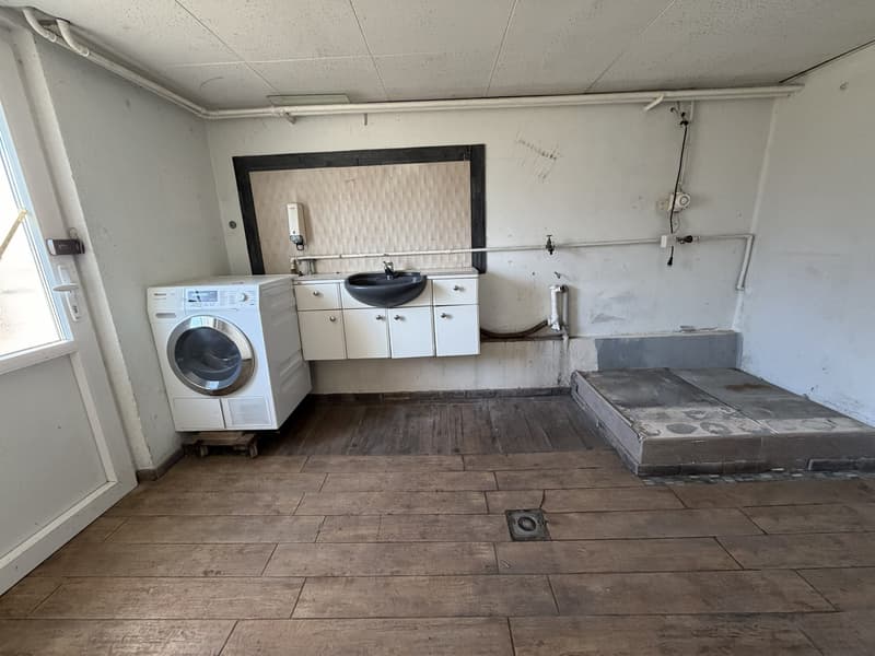 5.5-room single-family house seeks handyman (13)