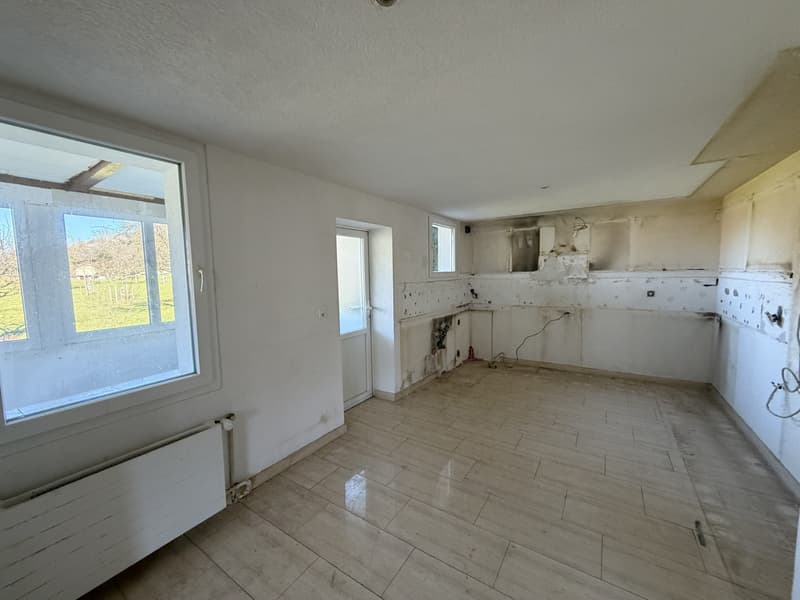 5.5-room single-family house seeks handyman (5)