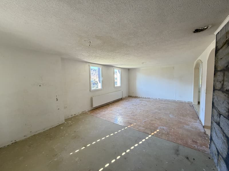 5.5-room single-family house seeks handyman (3)