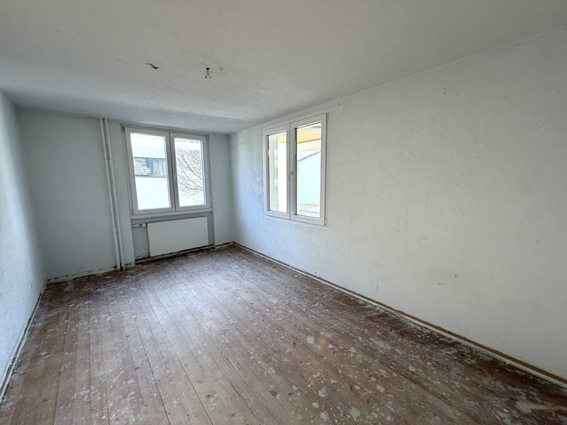 5.5-room single-family house seeks handyman (7)