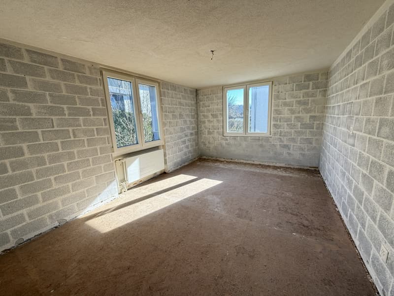 5.5-room single-family house seeks handyman (9)