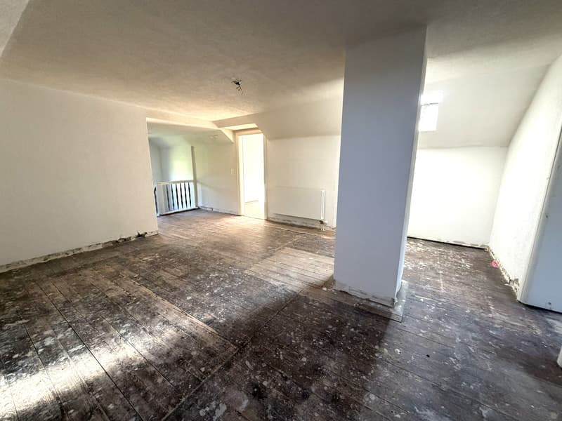 5.5-room single-family house seeks handyman (11)