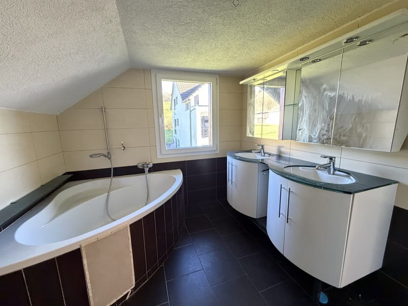 5.5-room single-family house seeks handyman (12)