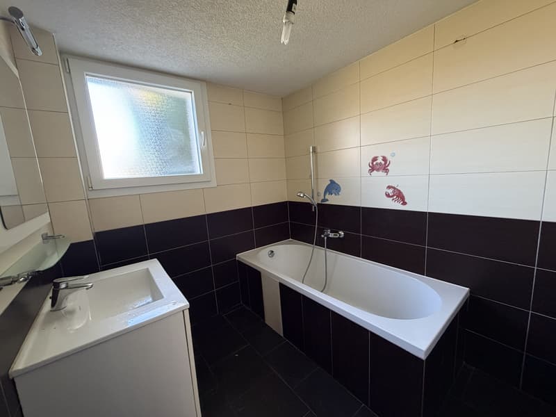5.5-Zi.-Einfamilienhaus sucht Handwerker (8)