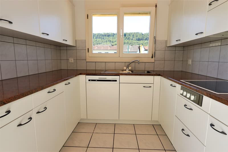 4.5-Zimmer-Attikawohnung mit 147 m² Terrassenfläche (3)