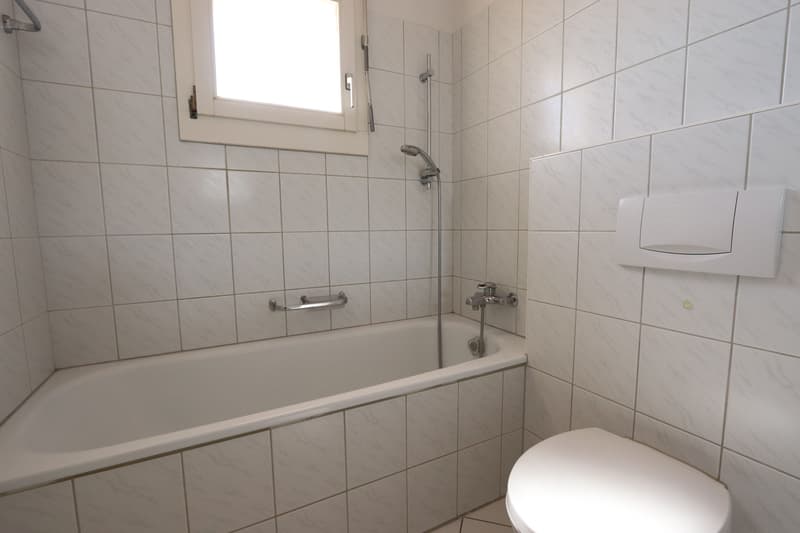 4.5-Zimmer-Attikawohnung mit 147 m² Terrassenfläche (12)