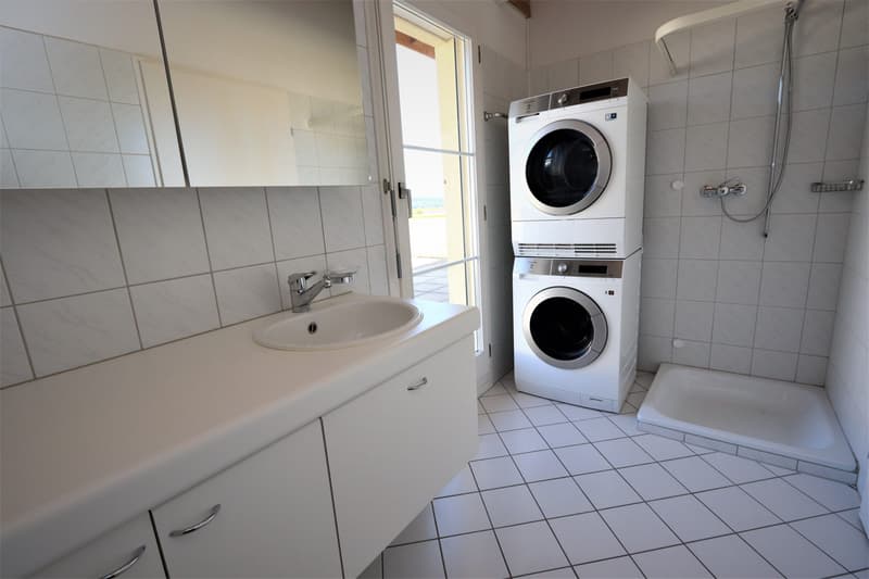 4.5-Zimmer-Attikawohnung mit 147 m² Terrassenfläche (10)
