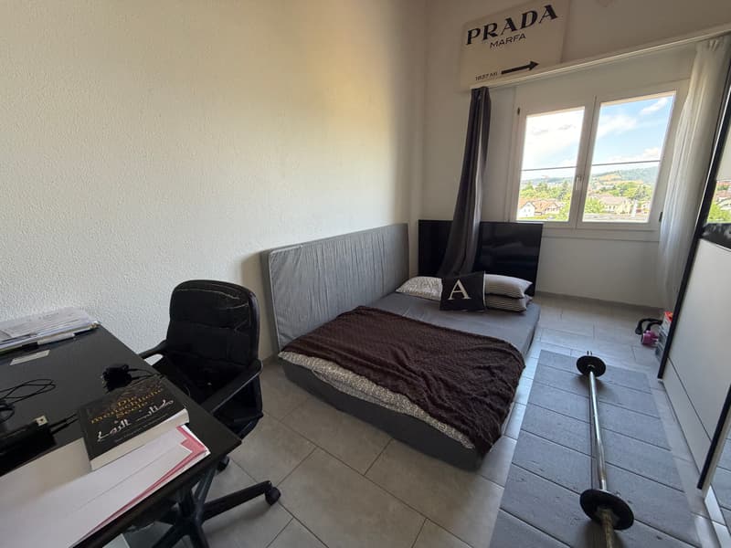 4.5-Zimmer-Attikawohnung mit 147 m² Terrassenfläche (8)