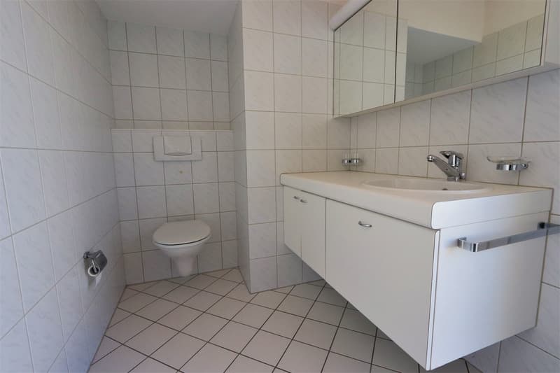 4.5-Zimmer-Attikawohnung mit 147 m² Terrassenfläche (9)