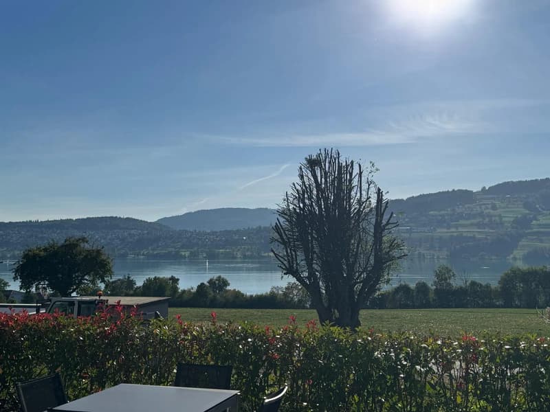 4.5-Zimmerwohnung mit Seesicht in Meisterschwanden (1)