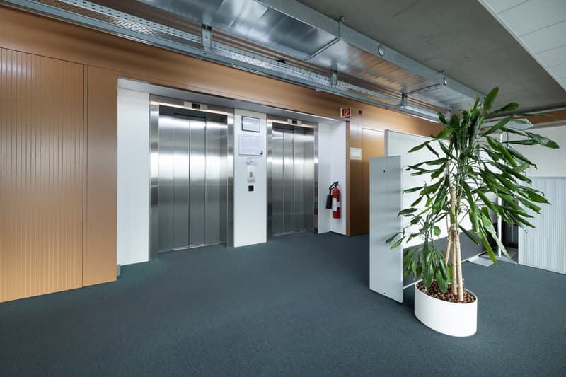 elevator room, two elevators, fire extinguisher, large plant