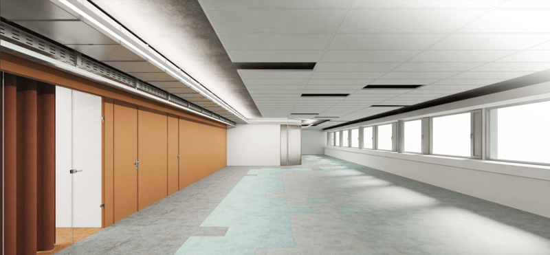 Corridor with a row of brown doors, a row of large windows, white walls, carpeted floor.