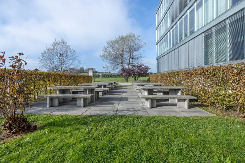 Green grassy area with multiple concrete benches, behind hedges, surrounded by trees.