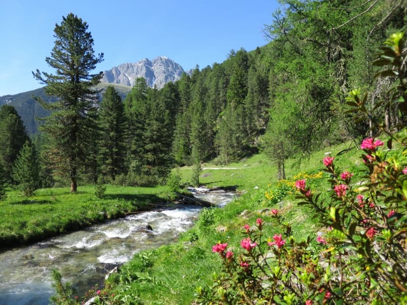 NEUBAU: Alpines Wohnen im Engadin - so, wie Sie es sich vorstellen (8)