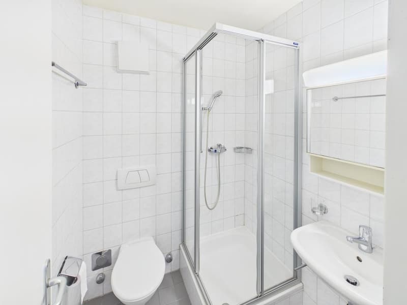 Charmant appartement (3)
