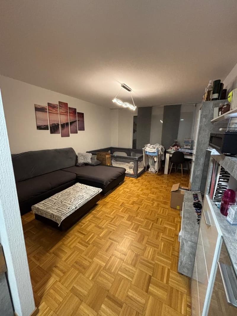 Charmant appartement (5)