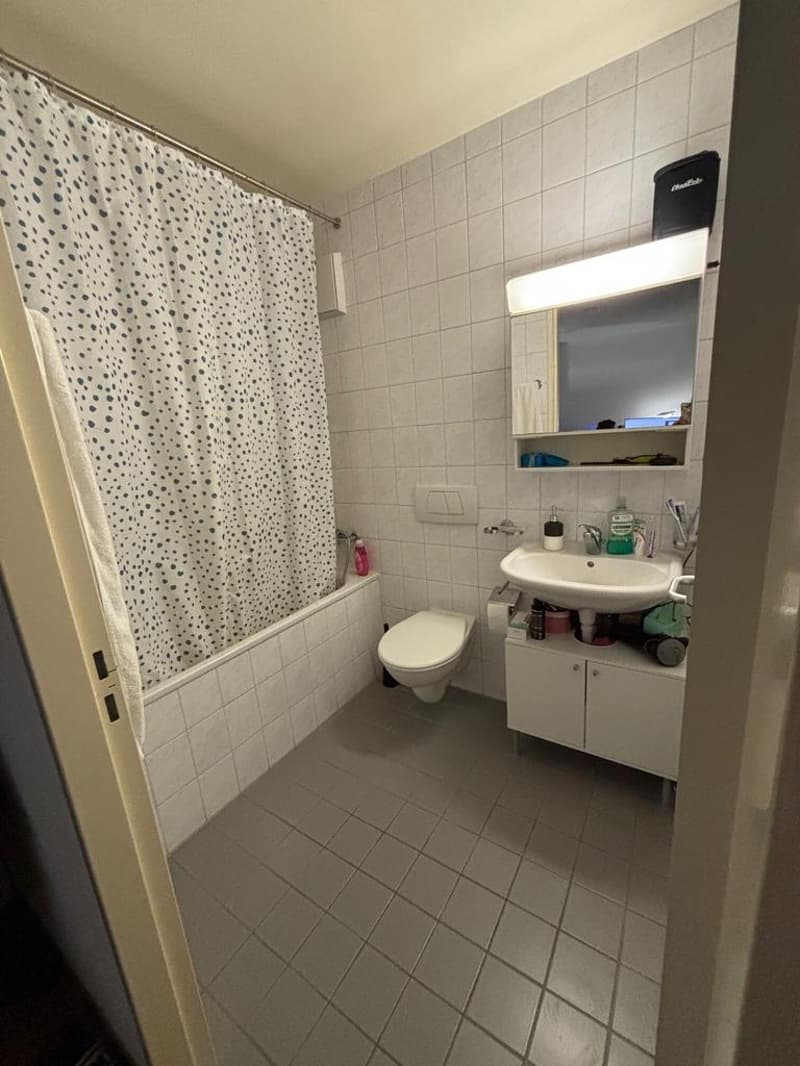 Charmant appartement (6)