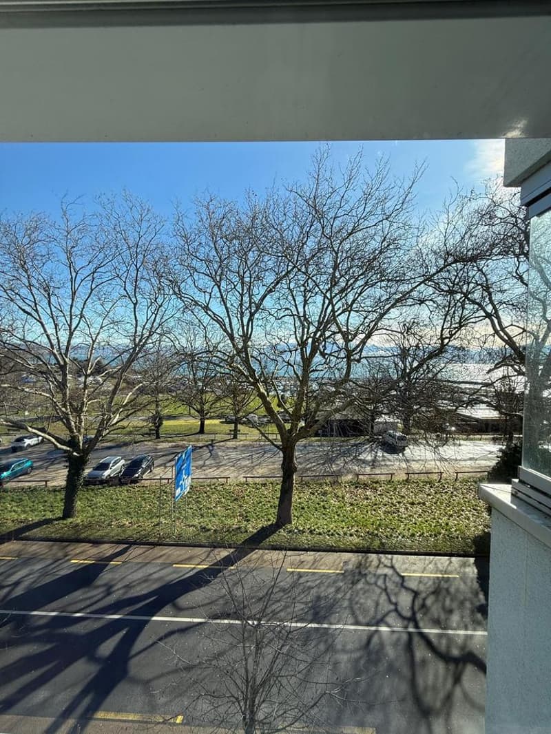 Confort et tranquillité à Morges (2)