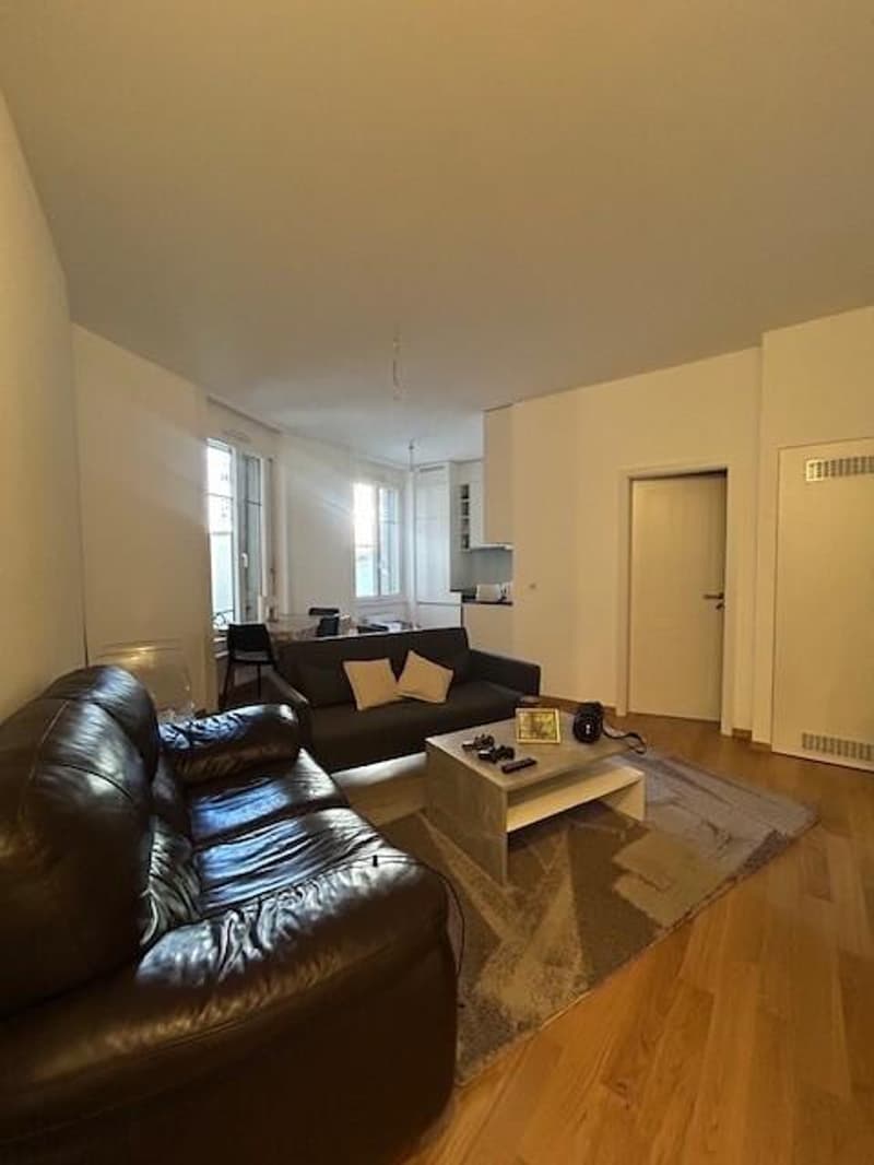 Bel appartement en plein centre-ville (9)