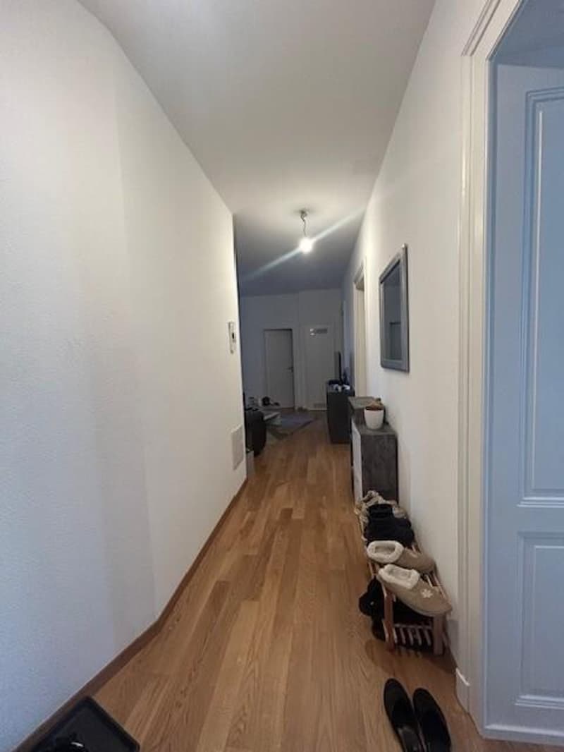 Bel appartement en plein centre-ville (5)