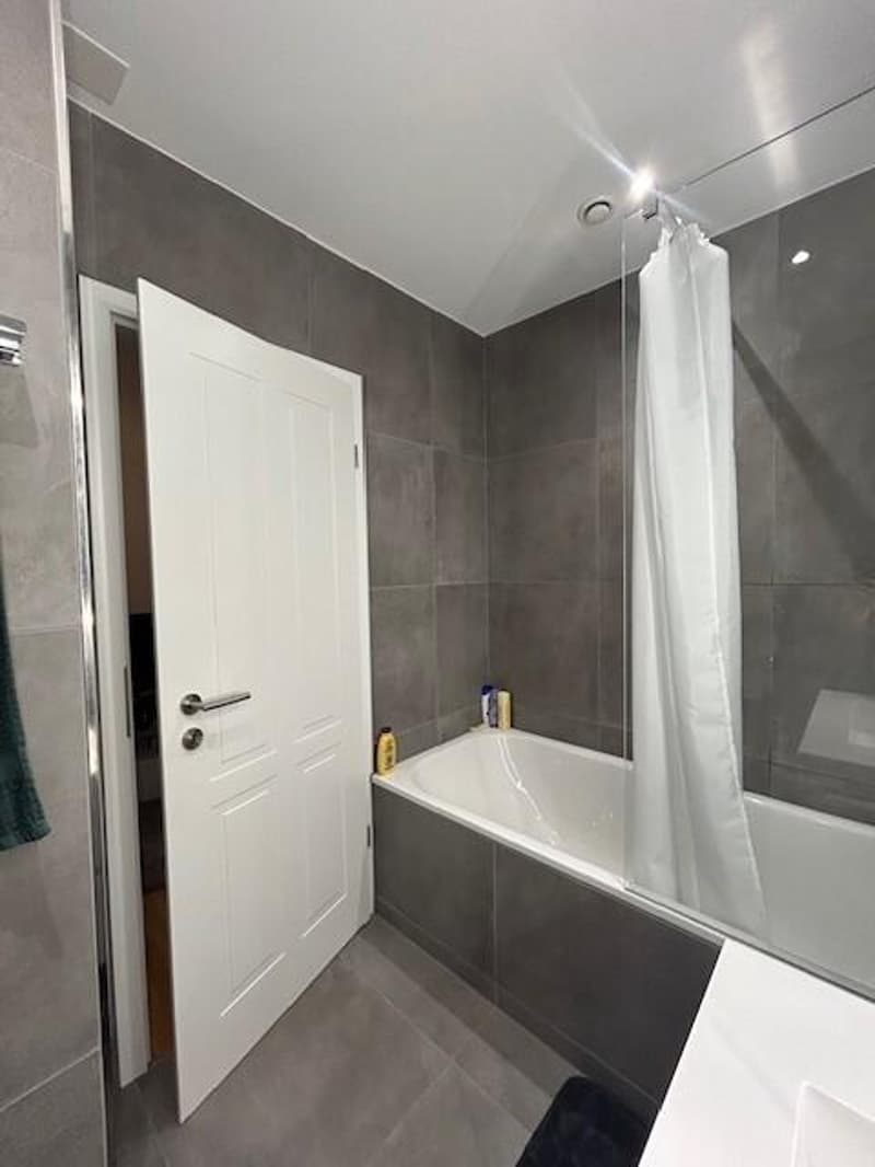 Bel appartement en plein centre-ville (7)