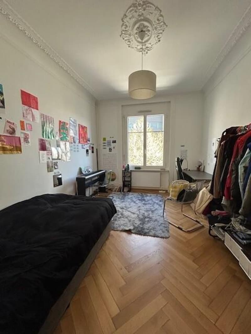 Bel appartement en plein centre-ville (3)