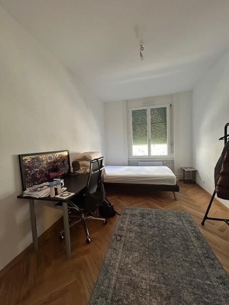 Bel appartement en plein centre-ville (2)
